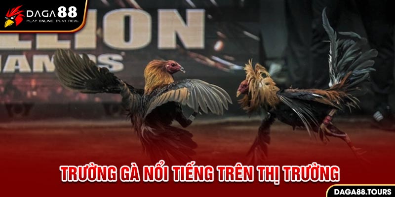 Trường gà nổi tiếng trên thị trường