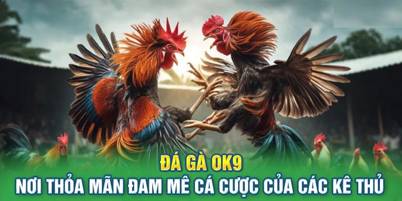 da-ga-truc-tuyen-ok9