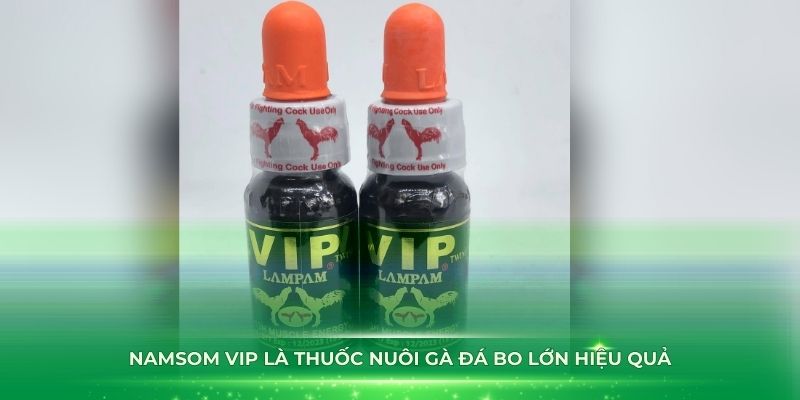 Namsom VIP là thuốc nuôi gà đá bo lớn hiệu quả