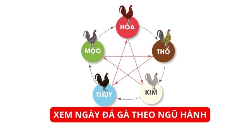 Xem ngày đá gà theo ngũ hành