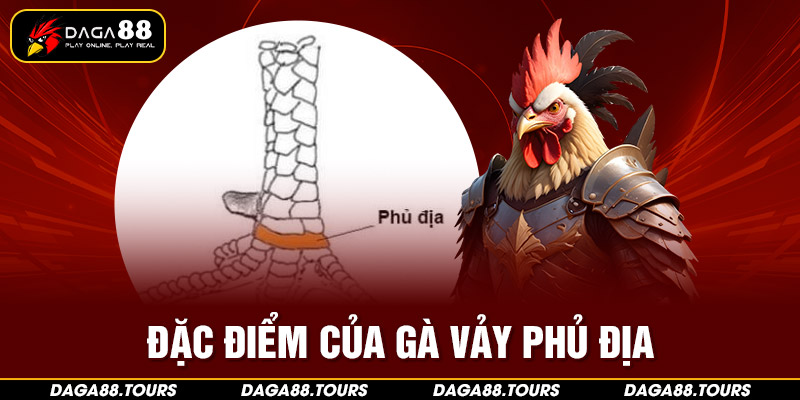 Đặc điểm vảy gà phủ địa