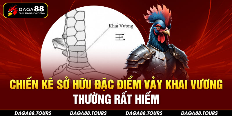 Độ hiếm của những chiến kê sở hữu đặc điểm vảy Khai Vương