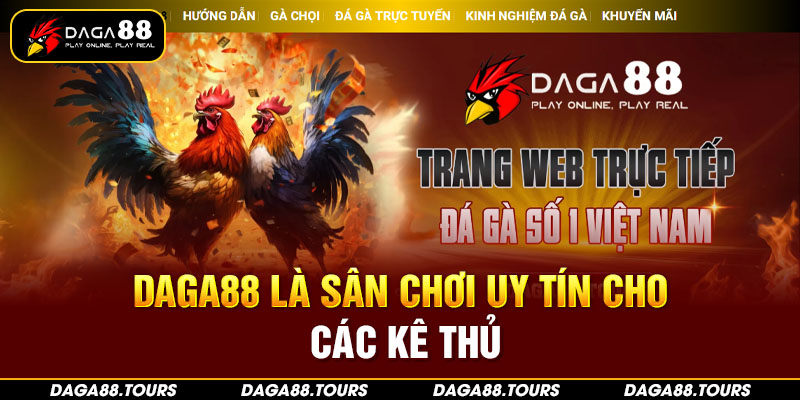 Daga88 là sân chơi uy tín cho các kê thủ