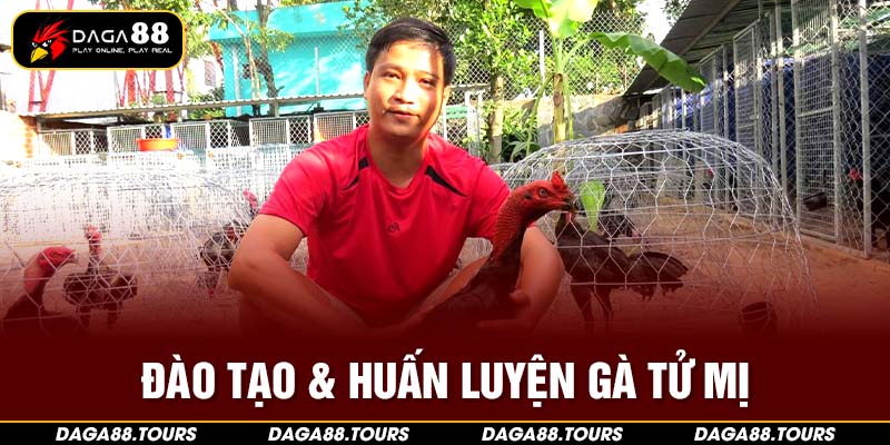 Đào tạo và huấn luyện gà tử mị