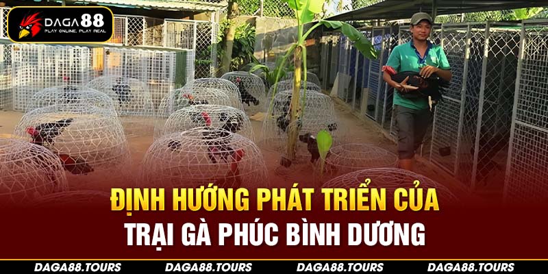 Trại gà có định hướng phát triển toàn diện trong ngành gà chọi