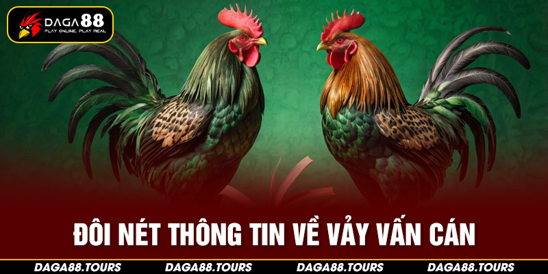 Đôi nét thông tin về vảy vấn cán