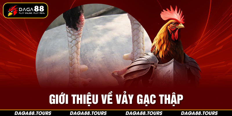 Giới thiệu về vảy gạc thập