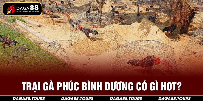 Trang trại lâu năm được nhiều người biết đến