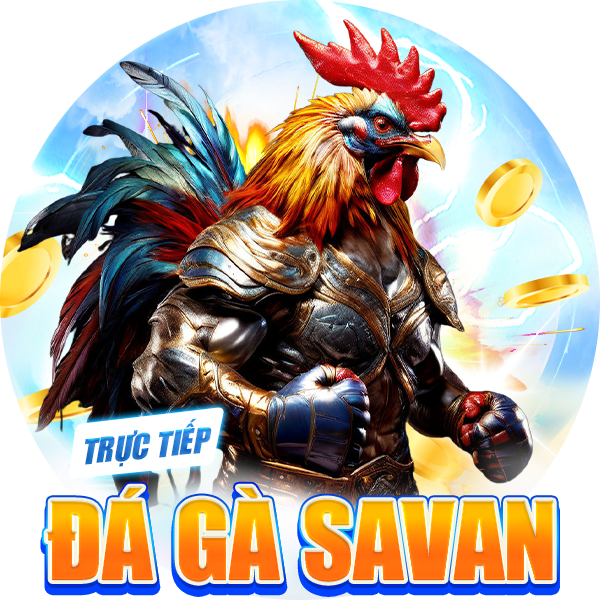 Trực tiếp đá gà Savan